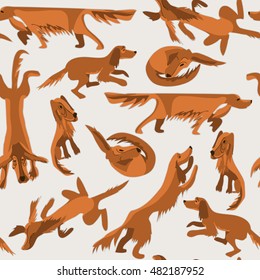 illustration of a setter in different poses