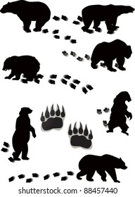 illustration with seven bears and tracks isolated on white background