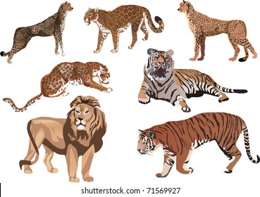 illustration with seven big color cats