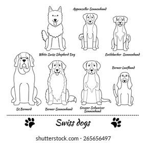 Illustration of seven different breeds of dogs: White Swiss Shepherd Dog, Appenzeller Sennenhund, Entlebucher Sennenhund, Berner Laufhund, Grosser Schweizer Sennenhund, Berner Sennenhund, St Bernard