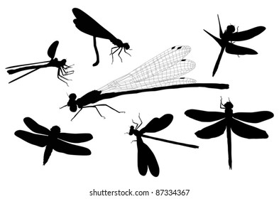 ilustração com sete silhuetas de libélula isoladas no branco