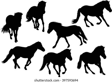 illustration with seven horses isolated on white background