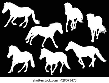 illustration with seven horses isolated on black background