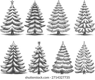 An illustration of seven pine trees with varying shapes and sizes, covered in snow, arranged in two rows on a plain white background