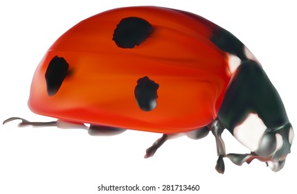 illustration with seven points ladybug isolated on white background