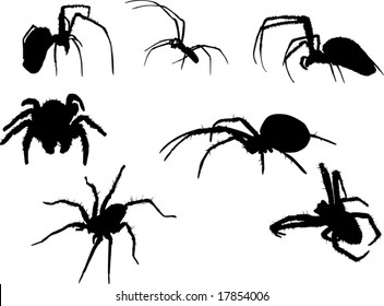 illustration with seven spider silhouettes isolated on white