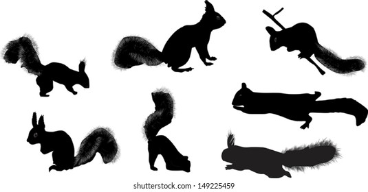 illustration with seven squirrels isolated on white background
