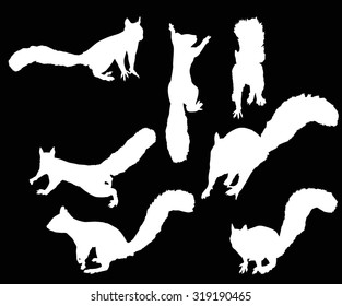 illustration with seven squirrels isolated on black background