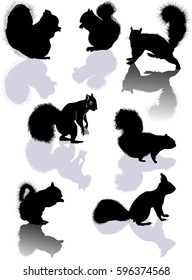 illustration with seven squirrels isolated on white background