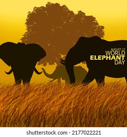 Illustration of several elephants in the grass and big tree in the afternoon with bold text, World Elephant Day August 12