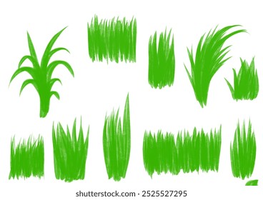 Illustration of several grass that can be used as a background