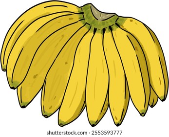 illustration of several ripe bananas