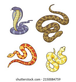 illustration of several types of snakes. There are cobras, yellow pythons, boas and anacondas.