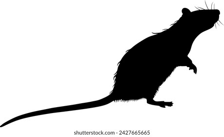 Illustration of a sewer rat