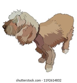 Illustration of shaggy dog. Vector, EPS10