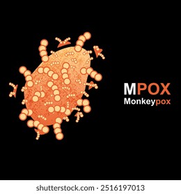 Illustration of the shape of the monkeypox virus with the name tag monkeypox