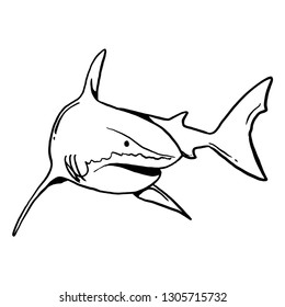 5,373 Shark line drawing Images, Stock Photos & Vectors | Shutterstock