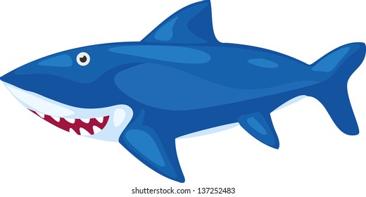 illustration shark