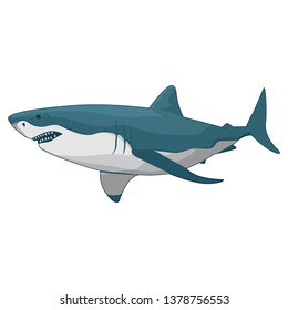 illustration of shark