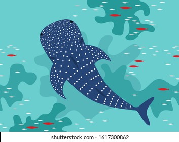 Illustration of the Whale shark