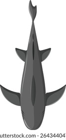 Illustration of a shark from above in water