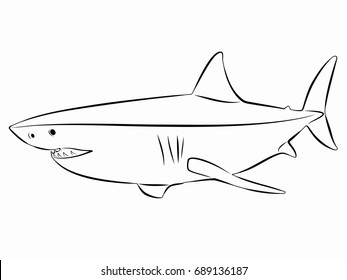 illustration of shark , black and white drawing, white background