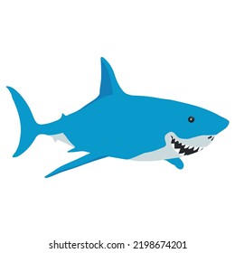 illustration of a shark in cartoon style, marine animal in flat design.