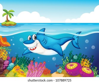 illustration shark fish in