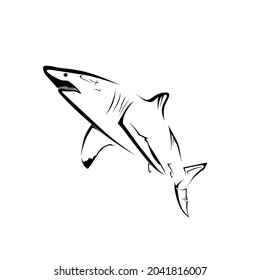 illustration of a shark image, can be used for logos and other illustrations.