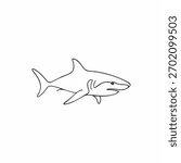 Illustration of a shark on white background