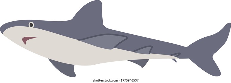 
Illustration of a shark in the sea