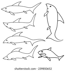 illustration  with shark set on white background