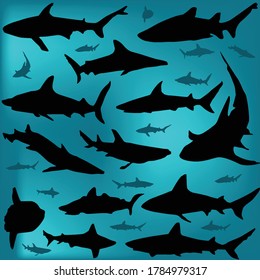 illustration with shark silhouettes on blue background