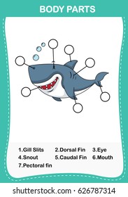 Illustration of shark vocabulary part of body,Write the correct numbers of body parts.vector