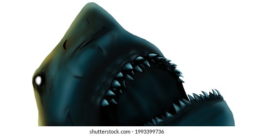 illustration of a shark with a wide open mouth with big and pointy teeth