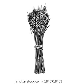 Illustration of sheaf of a wheat in engraving style. Design element for emblem, sign, poster, card, banner, flyer. Vector illustration