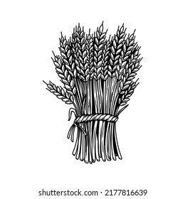 Illustration of sheaf of wheat in engraving style. Design element for emblem, sign, poster, package design. Vector illustration