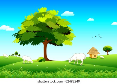 illustration of sheep grazing in grassland