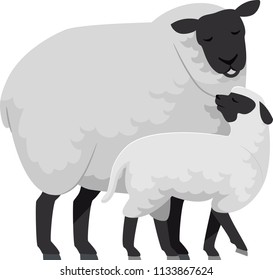 Illustration of a Sheep Mother with Her Young Sheep Called Lamb