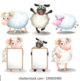 Illustration of the sheeps and lambs with empty boards on a white background