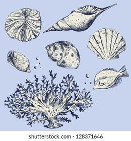 illustration of shell, fish and corals