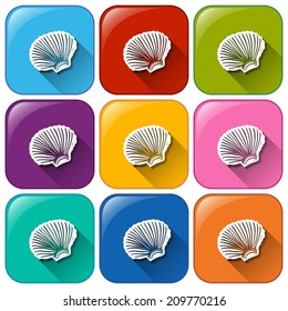 Illustration of the shell icons on a white background