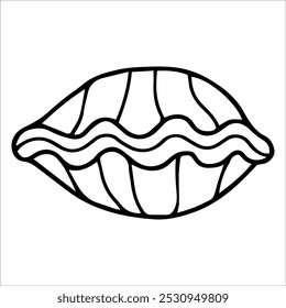 Illustration  Shell Line Art Coloring Page