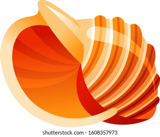 Illustration of shell, with white background vector