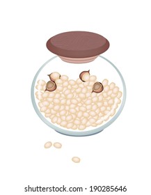 Illustration of Shelled and Unshelled Macadamia Nuts in Glass Jar, Good Source of Dietary Fiber, Vitamins and Minerals. 