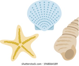 Illustration of shellfish and starfish