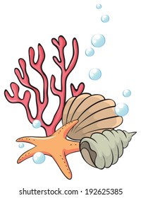 Illustration of the shells and starfish under the sea on a white background