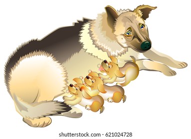 Illustration of shepherd dog mother nursing her puppies. Vector cartoon image.