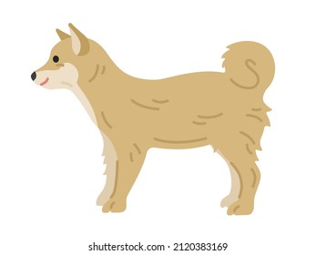 Illustration of Shiba Inu seen from the side.