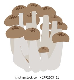 illustration of shimeji - simple version